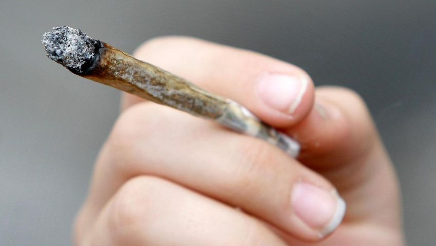  Germany unveils cannabis liberalisation plan
