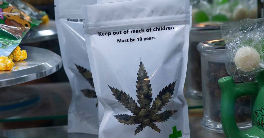 Chelsea residents trying to weed out explosion in illegal marijuana shops