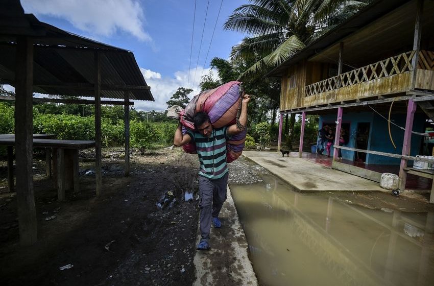  Colombia’s Radical New Approach to Cocaine