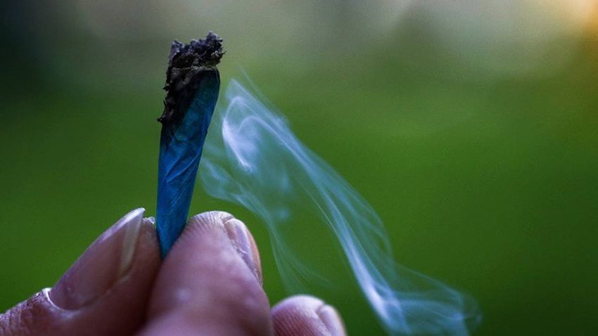  Cannabis harmful: UK police say marijuana on par with ‘crack and cocaine’
