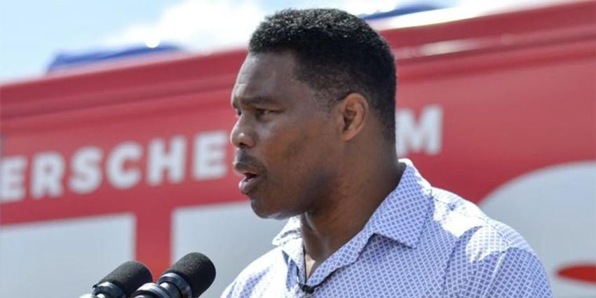  Herschel Walker campaign in ‘turmoil’ as ‘frantic’ aides try to assess damage: CNN