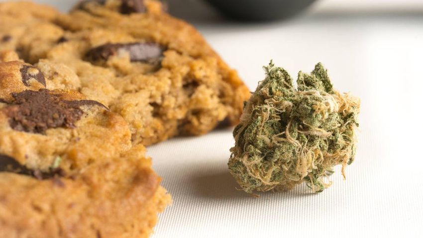  Man who was selling cannabis cookies to friends fails to get a discharge without conviction
