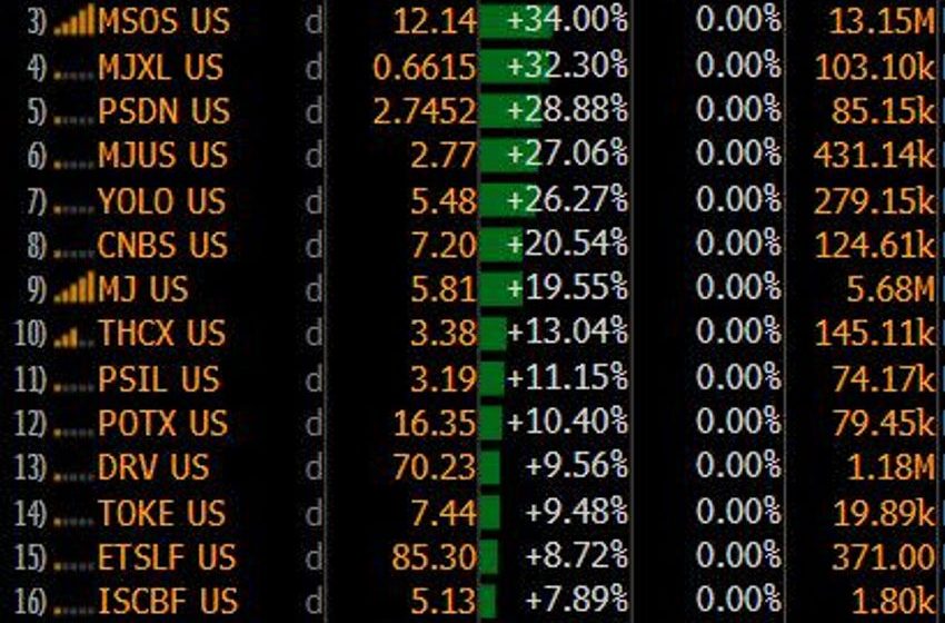  A $505 Million Pot ETF Just Surged 34% in Minutes on Pardon News