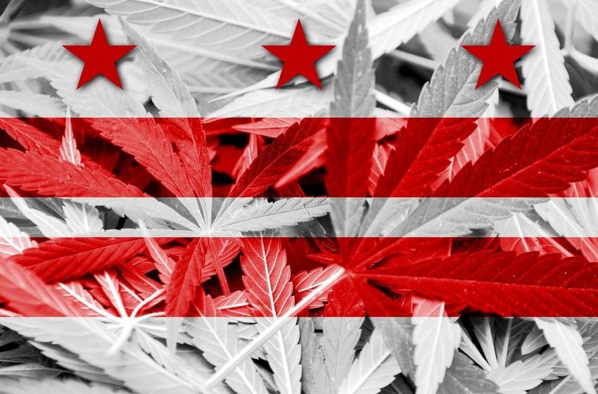  Marijuana Users Offered Broad Job Protections In DC