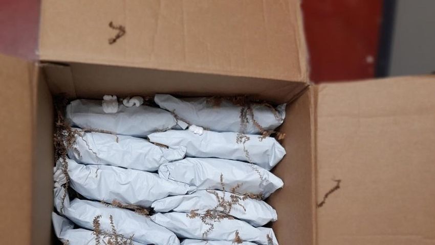  Major drugs haul uncovered in Balbriggan raid