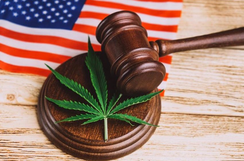  California weed company sued over not getting pot smokers high enough
