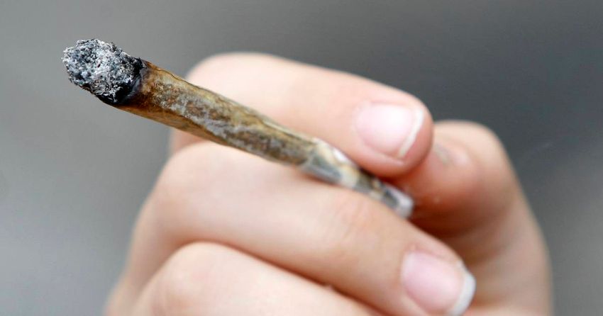  Germany to legalise cannabis use for recreational purposes