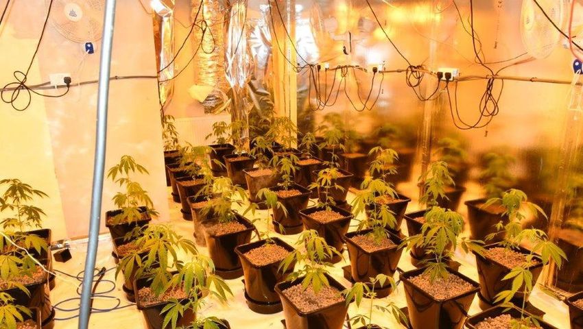 Lithuanian national who came to Sligo to make money out of growing cannabis is jailed for five years