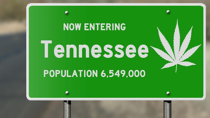  Small Town Values And Multimillion-Dollar Exits: Big Plans For Cannabis In Tennessee