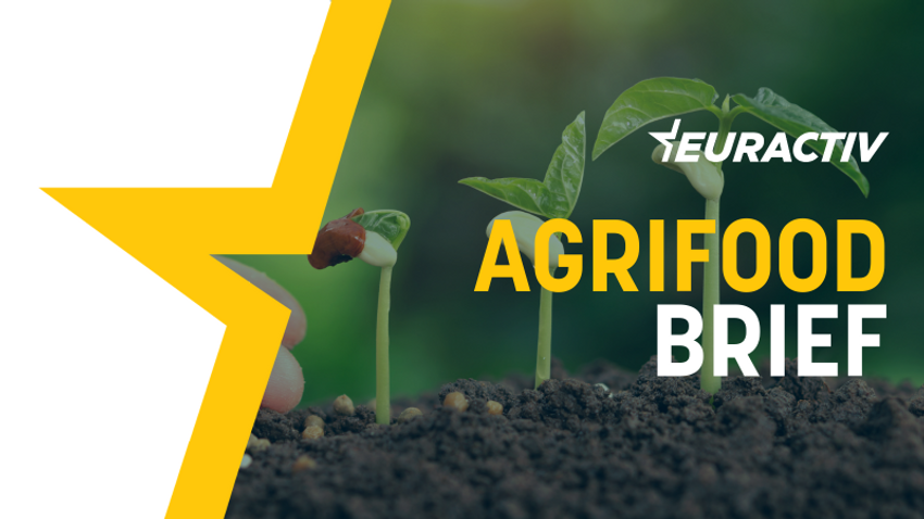 Agrifood Brief: The art of med-eat-ating