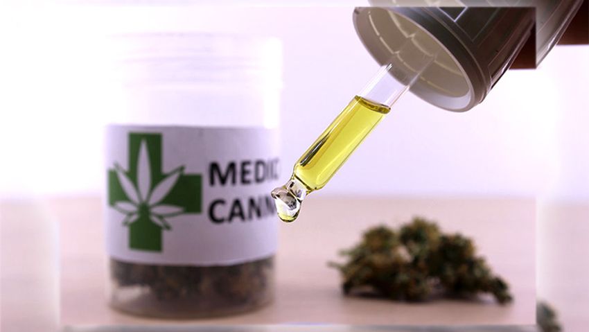  Survey: Medical Students Rarely Exposed to Scientific Data About Cannabis