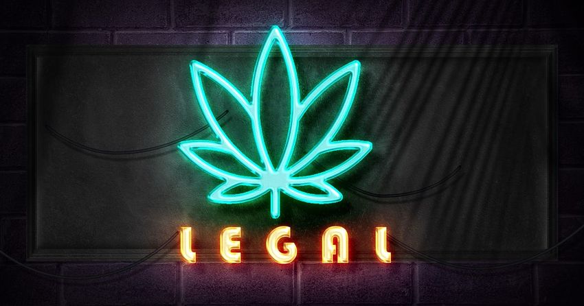  Marijuana Laws by State: Is Pot Legal Where You Live?