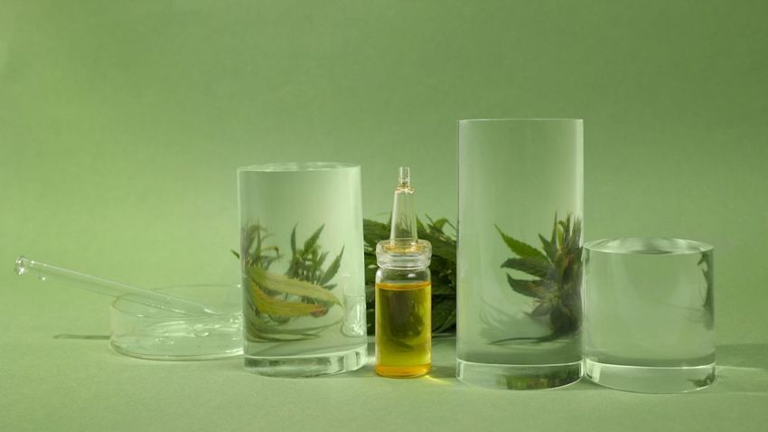  This company cloned cannabis cells in a bioreactor, and they’re 12 times stronger than normal