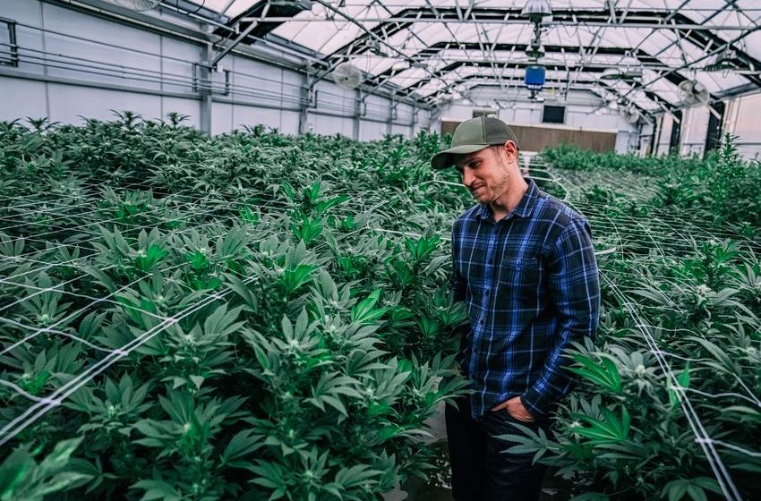  Should You Buy Pot Stocks After Biden’s Big Marijuana Moves?