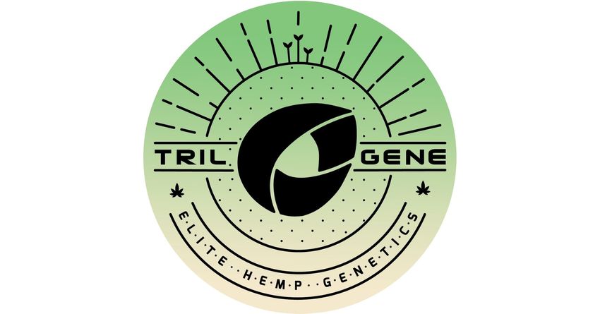  Trilogene Seeds Accelerates Cannabis Biotech Research at SIU’s Saluki Innovation Lab