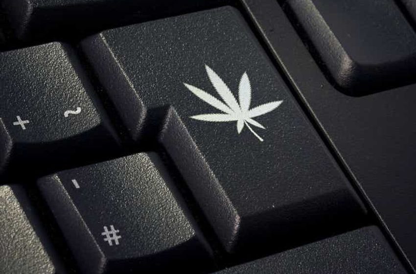 Leafly to cut 21% of workforce in cost-saving measure