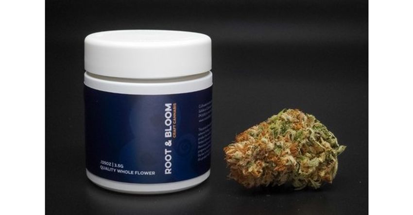  Root & Bloom Brings its Own Craft Cannabis Flower to Massachusetts Dispensaries