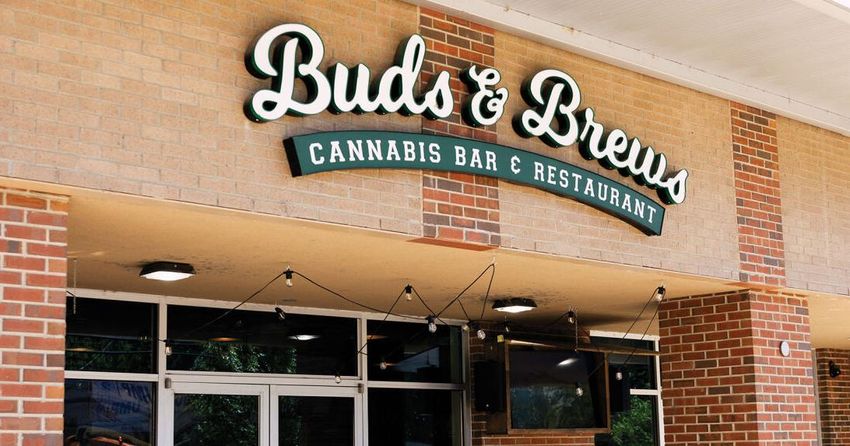 Mike Solomon Builds His Cannabis Business From the Dirt to the Dinner Table – Nashville Scene