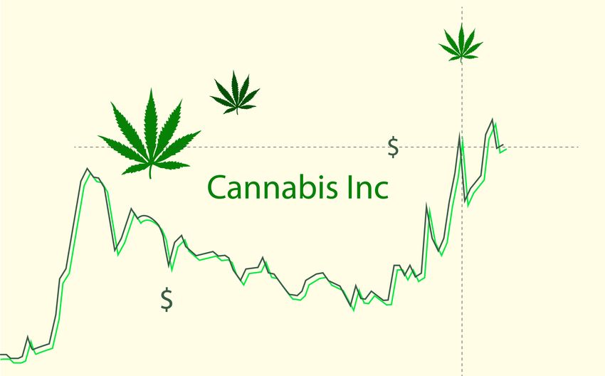 Why Aurora Cannabis, Canopy Growth, and Curaleaf Stocks Just Dropped