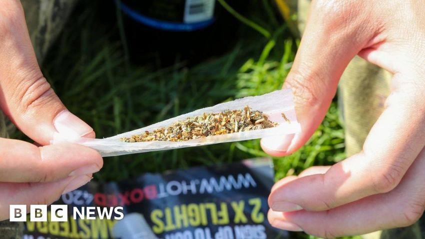 Make cannabis Class A drug, say Conservative police chiefs