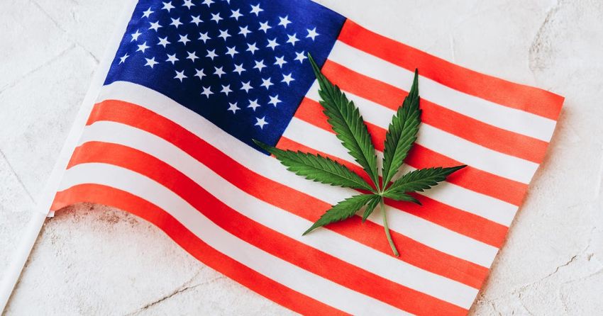  Marijuana Laws by State: Is Pot Legal in Your State?