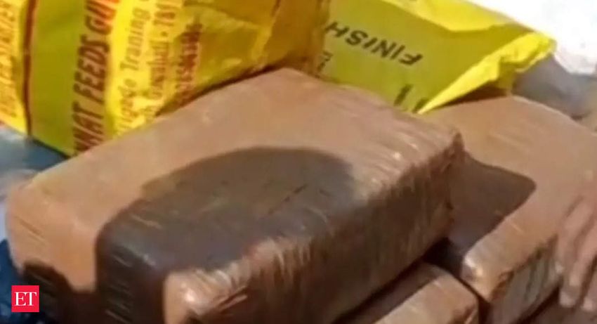 Tripura: Police seizes cannabis worth Rs 1 cr from bamboo laden truck in Agartala