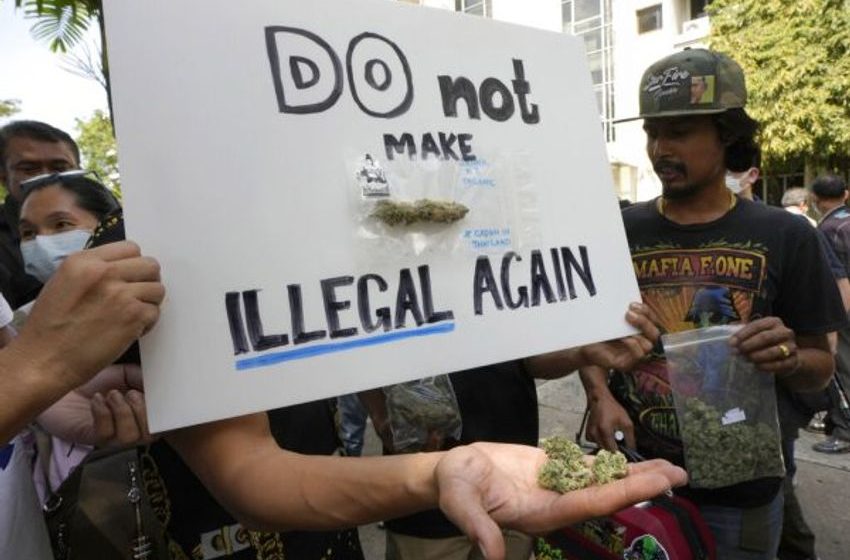  Thai Drug Legalization Advocates Fight Growing Marijuana Backlash