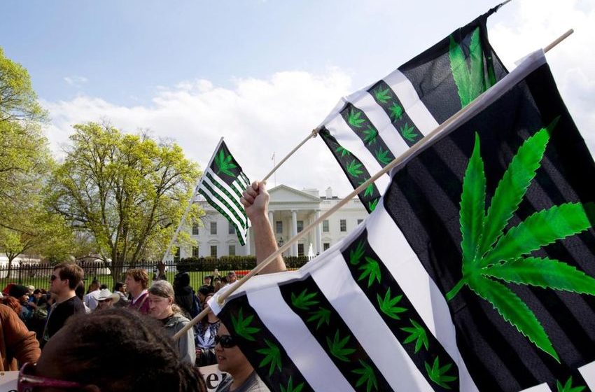  N Dakota, Arkansas reject legal marijuana, Maryland approves
