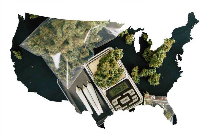  The 3 Likeliest States to Legalize Marijuana on Election Day