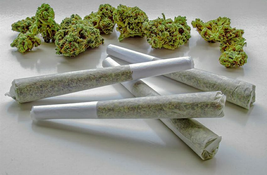 Are THC-O Pre Rolls Worth Trying For Migraine Pain?