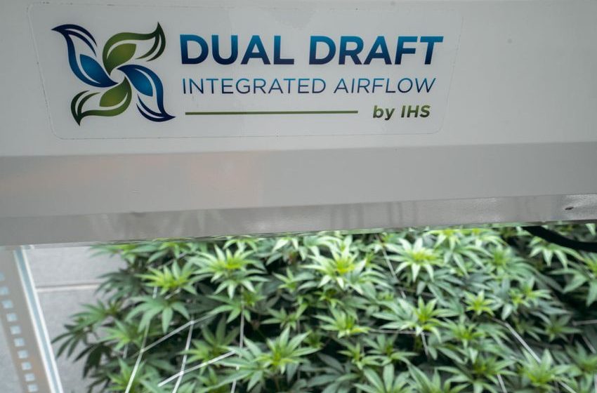 Dual Draft is the Latest Cannabis Company to Join Sweet Leaf Madison Capital’s Preferred Vendor Program