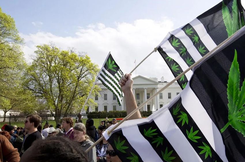  Voters approve recreational marijuana in Maryland, Missouri