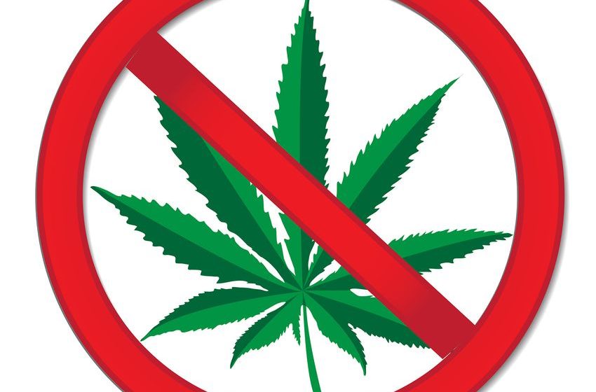  Arkansas Voters Reject Legalizing Marijuana
