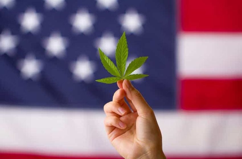  Only one in ten Americans oppose marijuana legalization – survey