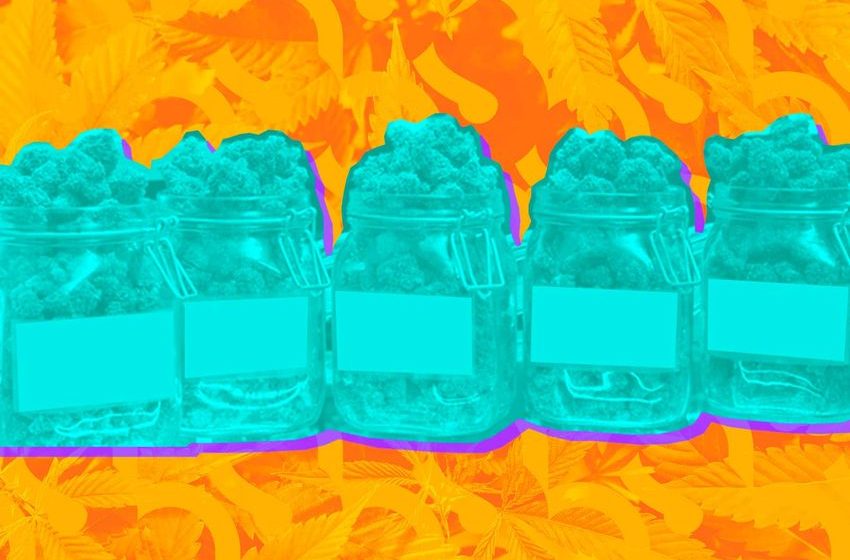 How IoT Keeps the Cannabis Industry Connected – IoT For All