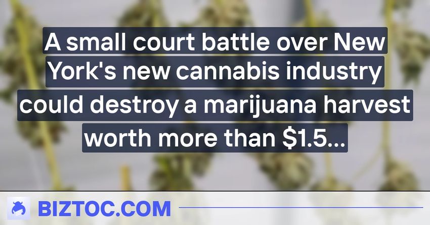 A small court battle over New York’s new cannabis industry could destroy a marijuana harvest worth more than $1.5 billion