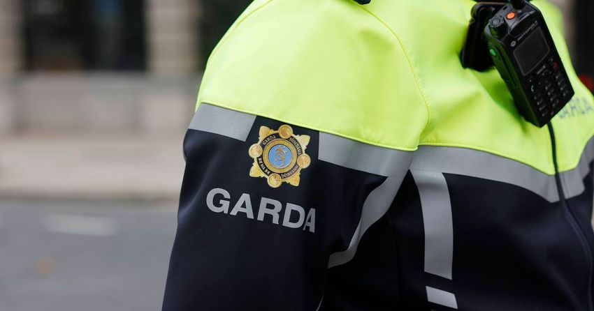 Man arrested as gardaí seize cannabis worth more than €2 million