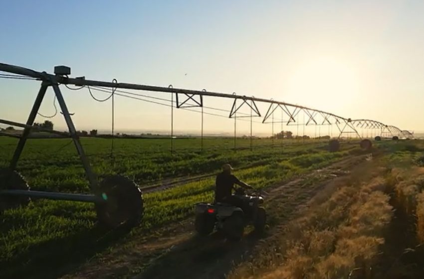  Revamped Farmer’s Organic Gin Produced Farm To Glass In Idaho Launching Across The United States