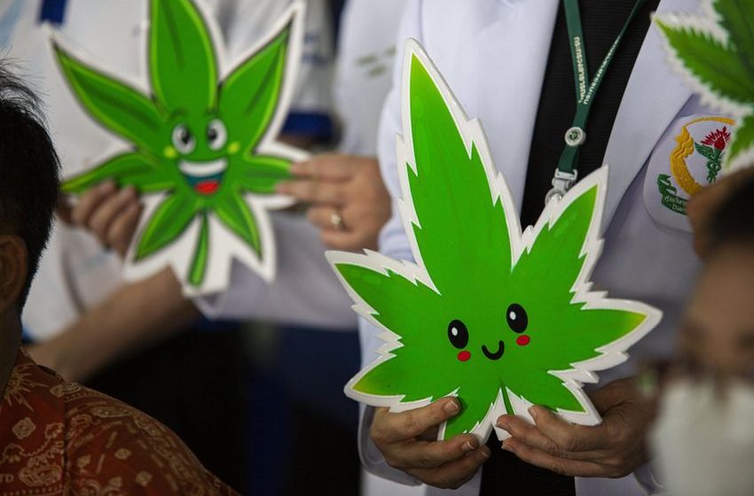  Which States Legalized Weed in Tuesday’s Election