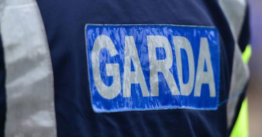  Cannabis valued at €110,000 seized in Coolock, Dublin