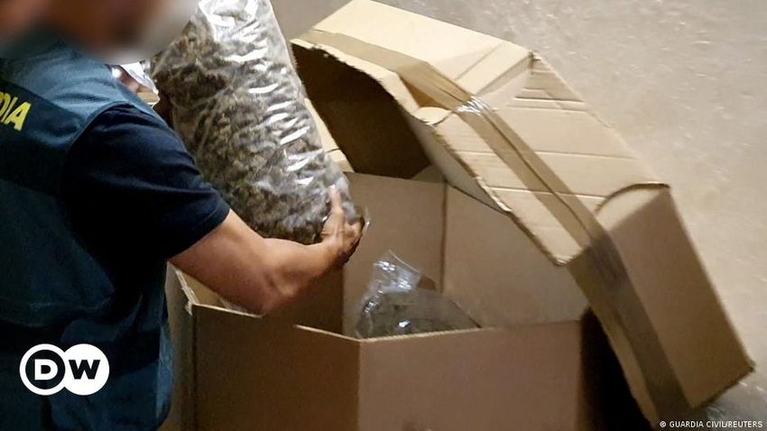  Police in Spain seize largest amount of marijuana on record