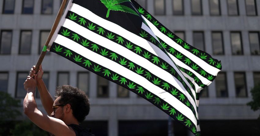  Voters Legalize Marijuana in Maryland, Missouri
