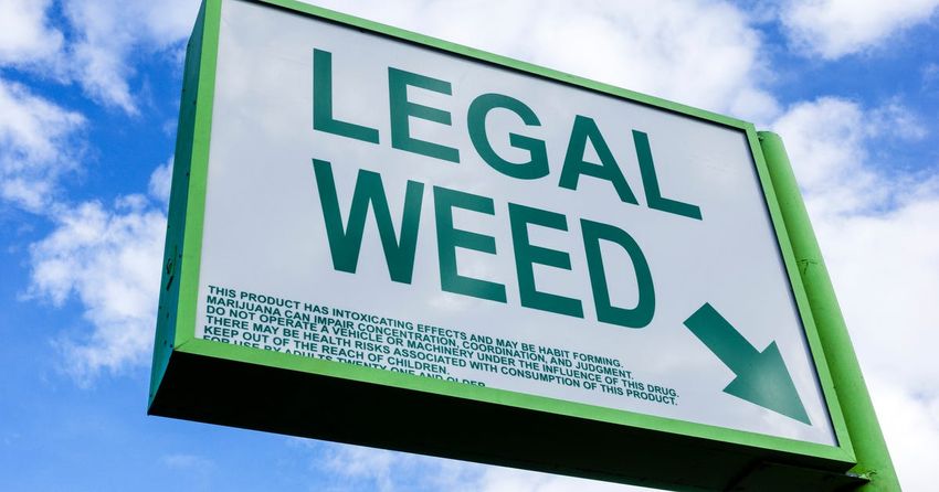  Election Day 2022: These 5 States Could Legalize Marijuana