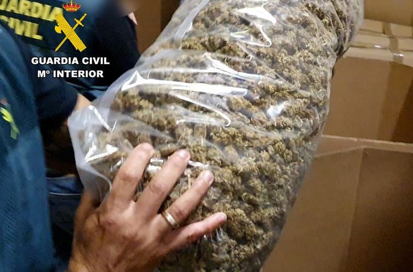  Spain’s largest ever cannabis seizure as 32 tonnes of drug worth £57m found in raid