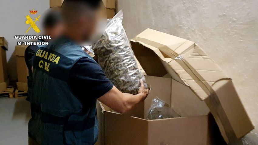  Spanish police claim largest seizure of marijuana ever, worth $97.6 million