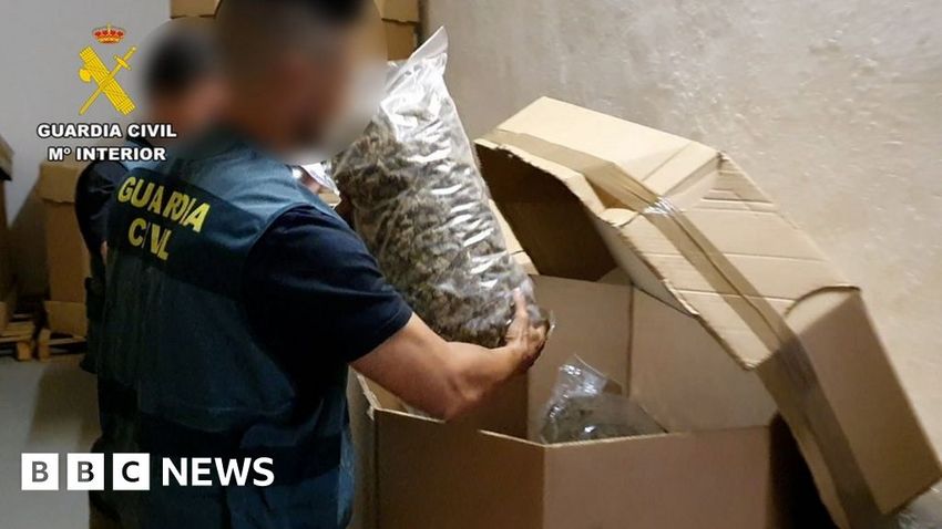  Spain cannabis: Police claim largest ever seizure