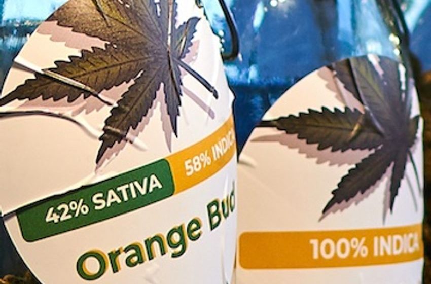 Is Online Marijuana the Next Big Thing?