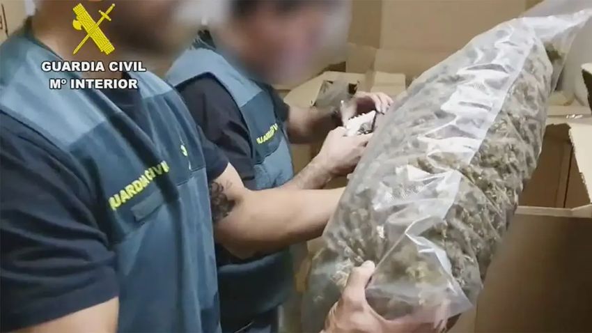  Spanish Civil Guard seizes ‘largest stash of marijuana discovered’