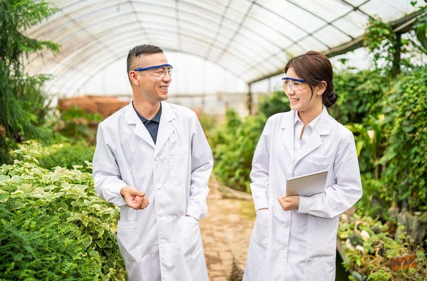 Why November Could Be a Huge Month for Cannabis Stocks