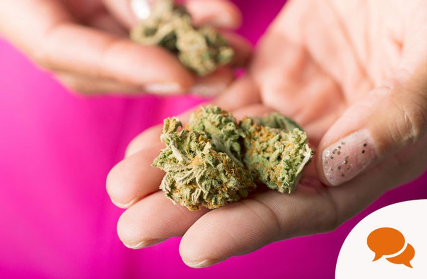  Gino Kenny: It’s time to decriminalise the possession of cannabis for personal use
